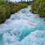 Redwood Forest , Blue Springs & Huka Falls Day Tour from Auckland - The Itinerary Breakdown: What to Expect on This Full-Day Adventure