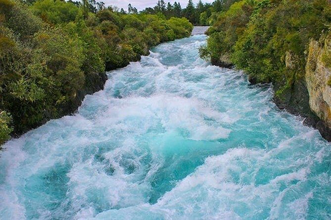Redwood Forest , Blue Springs & Huka Falls Day Tour from Auckland - The Itinerary Breakdown: What to Expect on This Full-Day Adventure