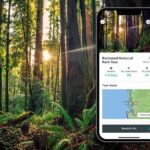 Redwood National Park Self-Guided Audio Tour - Practical Considerations