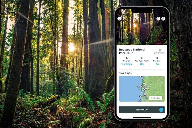 Redwood National Park Self-Guided Audio Tour - Practical Considerations