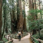Redwoods Full-day Private Tour and Hike - FAQs