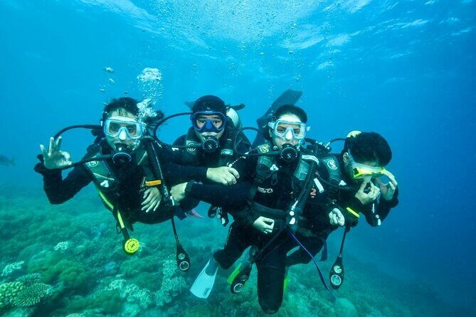 Reef Tour with SCUBA Dive from Cairns, pontoon with activities - The Itinerary Breakdown