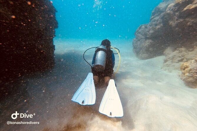 Refresher Scuba Dive - What to Expect from the Refresher Scuba Dive