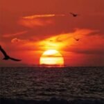 Relaxing Sunset/Evening Cruise in Newport Beach - The Experience of the Harbor and Coastline