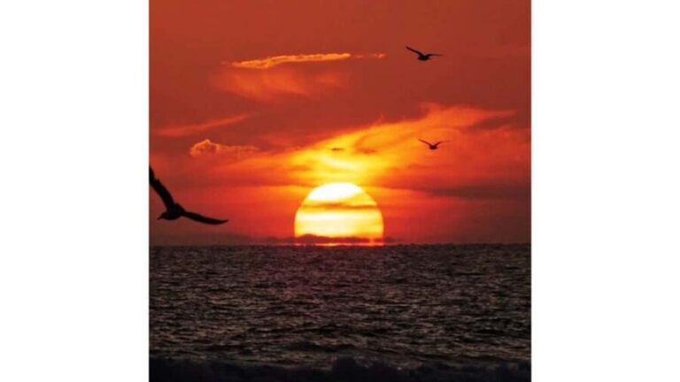 Relaxing Sunset/Evening Cruise in Newport Beach - The Experience of the Harbor and Coastline