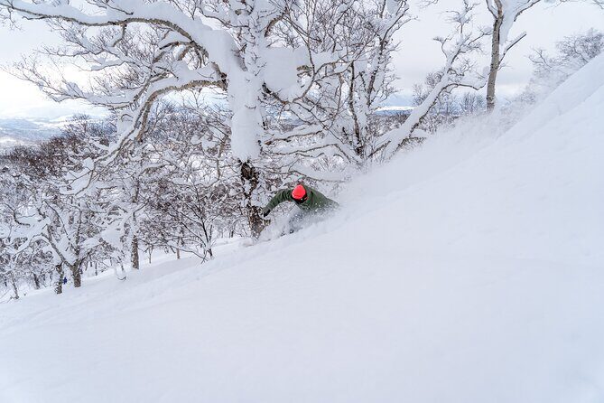 Revelstoke Mountain Photography Tours - The Itinerary, in Detail