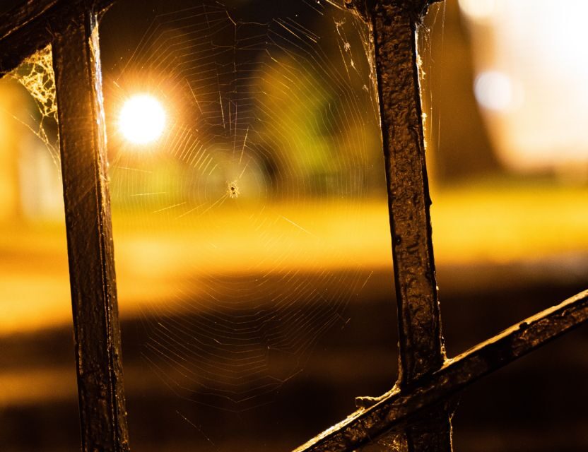 Richmond Ghosts Boos and Booze Haunted Pub Crawl - The Itinerary: What to Expect