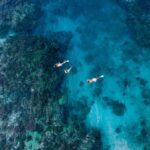 Ride & Slide by South Sea Cats - Half Day Snorkelling Trip - The Value of the Experience