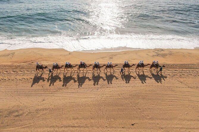 Ride the Wild Camel Safari and Off Road Rush - The Practicalities: What You Should Know