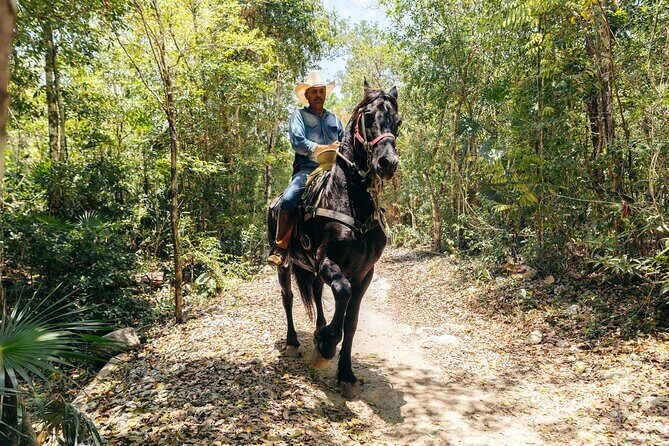Rider Tour, Horseback Riding, ATV and Cenote - How Does this Tour Stack Up?