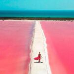 Rio Lagartos and Las Coloradas Day Tour from Cancun - Who Would Love This Tour?