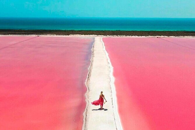 Rio Lagartos and Las Coloradas Day Tour from Cancun - Who Would Love This Tour?