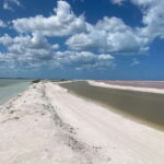 Rio Lagartos and Las Coloradas: EcoSafari Flamingo classic - Authentic, Knowledgeable Guides Make the Difference