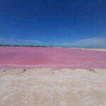 Rio Lagartos and Las Coloradas: EcoSafari Flamingo Luxury - What to Expect During Your Trip