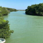 Río Lagartos and Las Coloradas: Natural Experience - How the Itinerary Unfolds