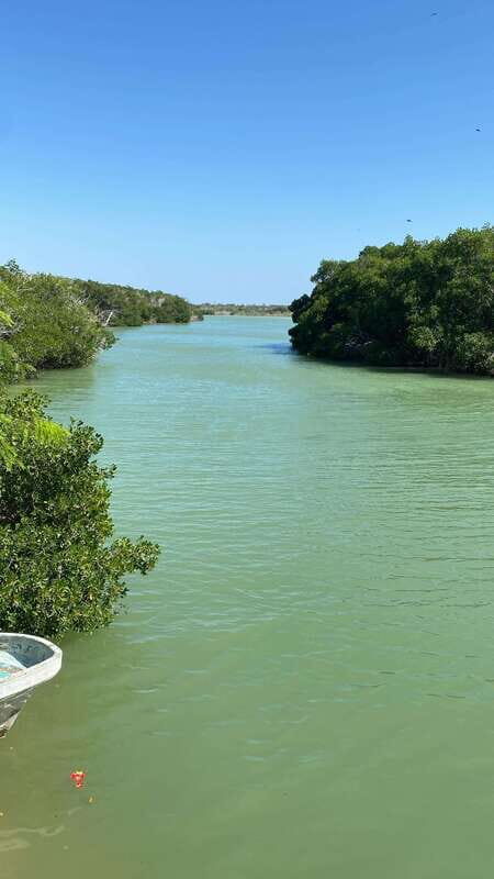 Río Lagartos and Las Coloradas: Natural Experience - How the Itinerary Unfolds