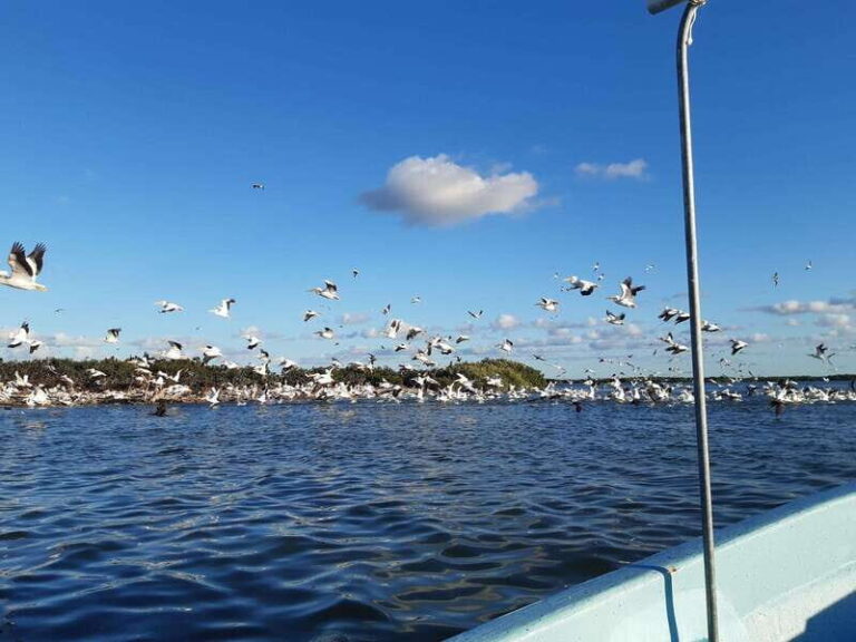 Rio Lagartos and San Felipe: Isla Cerritos, Cenote Kambulnah and Pesca. - Final Thoughts