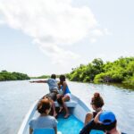 Rio Lagartos Biosphere + Coloradas Gorgeous Pink Lake! Transportation from Tulum - The Experience: What Travelers Say