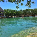 Rio Lagartos Expedition: boat journey through the mangrove - Who Is This Tour Best Suited For?