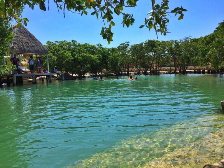 Rio Lagartos Expedition: boat journey through the mangrove - Who Is This Tour Best Suited For?