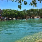 Rio Lizards and Las Coloradas Ecosafari Maya Natural Experience - The Sum Up