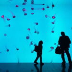 Ripley's Aquarium: Sharks After Dark Entry (After 5PM) - The Real Deal: What Do Visitors Say?