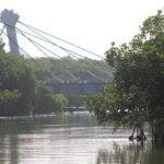 River Lizards Boat Tour for Flora and Fauna Observation - What Makes This Tour Special?