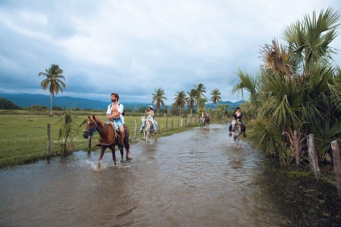 River Trail Horseback Riding Adventure - Real Experiences from Participants