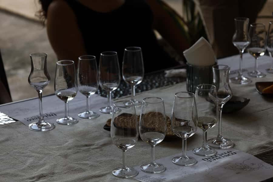 Riviera Maya: 2 hr Tequila Tasting with an Expert - What’s Included & What’s Not