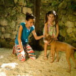 Riviera Maya: Croco Cun Interactive Zoo Tour - Key Points