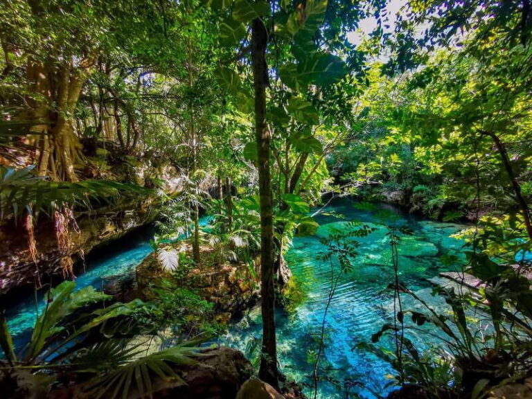 Riviera Maya: EcoPark Kantun-Chi Cave Adventure - The Value of the Experience