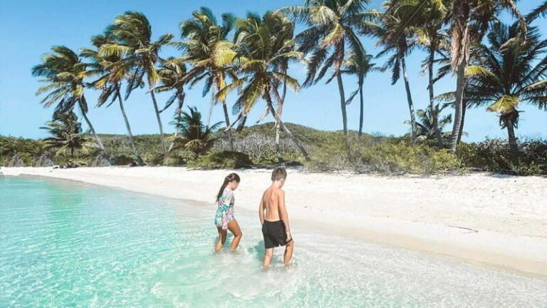 Riviera Maya: Isla Contoy and Isla Mujeres Full-Day Tour - The Itinerary Breakdown: What You Can Expect