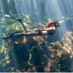 Riviera Maya: Snorkel Cenotes - The Experience and What to Expect
