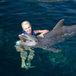 Riviera Maya: Swim with dolphins Interax - The Activities in Detail