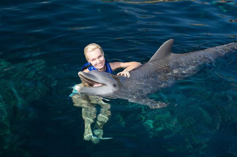 Riviera Maya: Swim with dolphins Interax - The Activities in Detail
