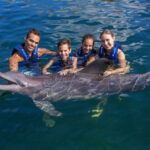 Riviera Maya: Swim with dolphins Primax - The Small Group Advantage and Why It Matters
