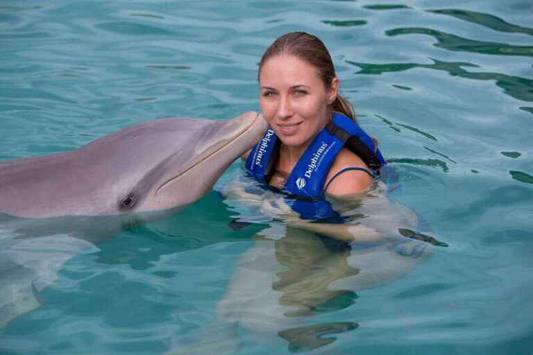 Riviera Maya: Swimming Experience with Dolphins - The Experience: What You Can Expect
