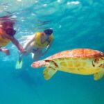 Riviera Maya Ultimate Adventure ATV's Snorkeling & Zip Lines - Frequently Asked Questions