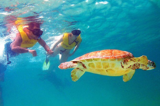 Riviera Maya Ultimate Adventure ATV's Snorkeling & Zip Lines - Frequently Asked Questions