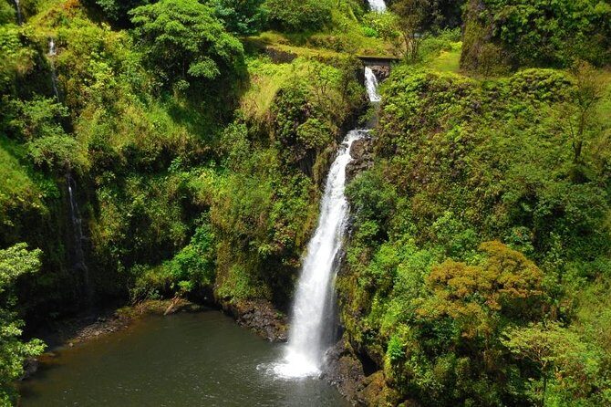 Road To Hana Black Sand Beach Waterfalls & Turtles Tour - The Cost & Value