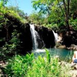 Road to Hana in Mercedes Van: Waterfalls and Black Sand Beach - The Real Experiences and What Guests Say