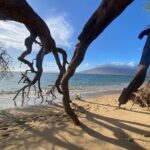 Road to Hana Maui Tours - What Travelers Say