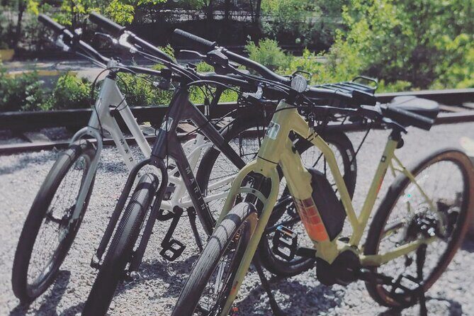 Roanoke River Greenway E-bike Rental - Who This Experience is Best For