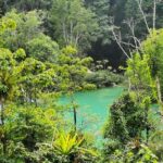 Roberto Barrios Waterfalls - The Value and Practicalities