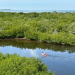 Robinson Preserve Mangrove Tour - Why This Tour Works for Different Travelers