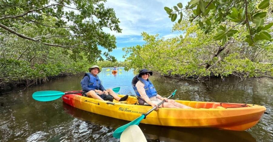 Robinson Preserve Mangrove Tour - Who Will Love This Tour?
