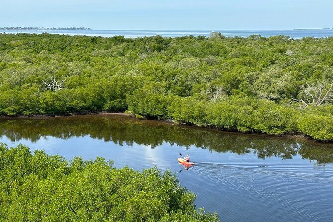 Robinson Preserve Mangrove Tour - Why This Tour Works for Different Travelers