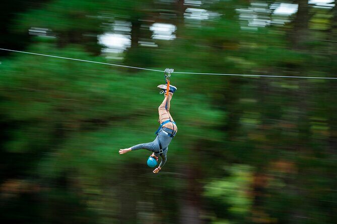 Rock Climb, Zipline and Mega Swing Experience - The Forest Setting and Duration