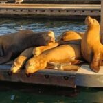 Romantic Boat Cruise with Wine & Cheese or Surprise Dinner - Why This Cruise Could Be Just Right for You