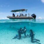 Romantic dive in the lagoon of Bora Bora. Private instructor on a shared boat - Who Is This Tour Best For?